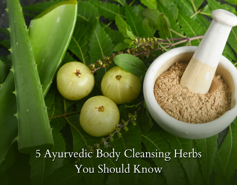 5 Ayurvedic Body Cleansing Herbs You Should Know