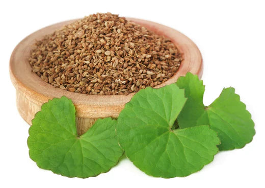 Ajwain/Carom Seeds (Trachyspermum Ammi)