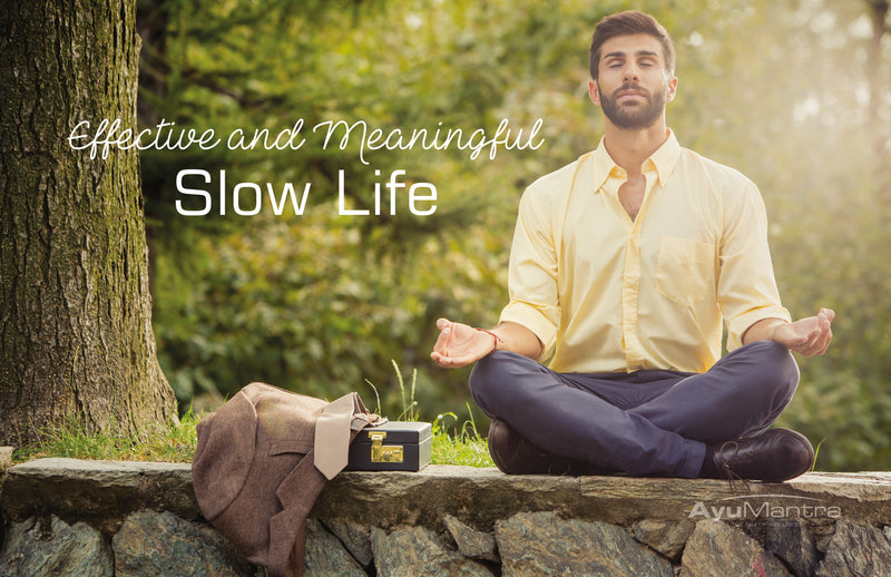 EFFECTIVE AND MEANINGFUL SLOW LIFE