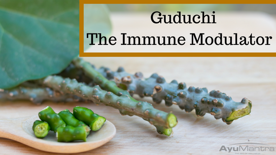 GUDUCHI – THE IMMUNE MODULATOR
