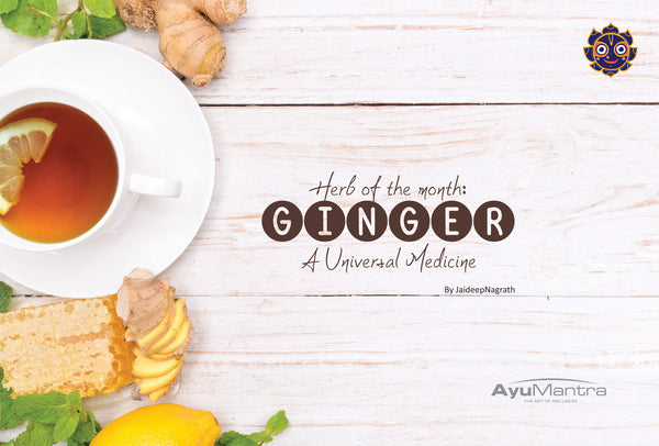 The Herb Of The Month GINGER- The Universal Medicine