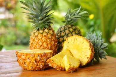 Pineapple (Ananas Comosus)