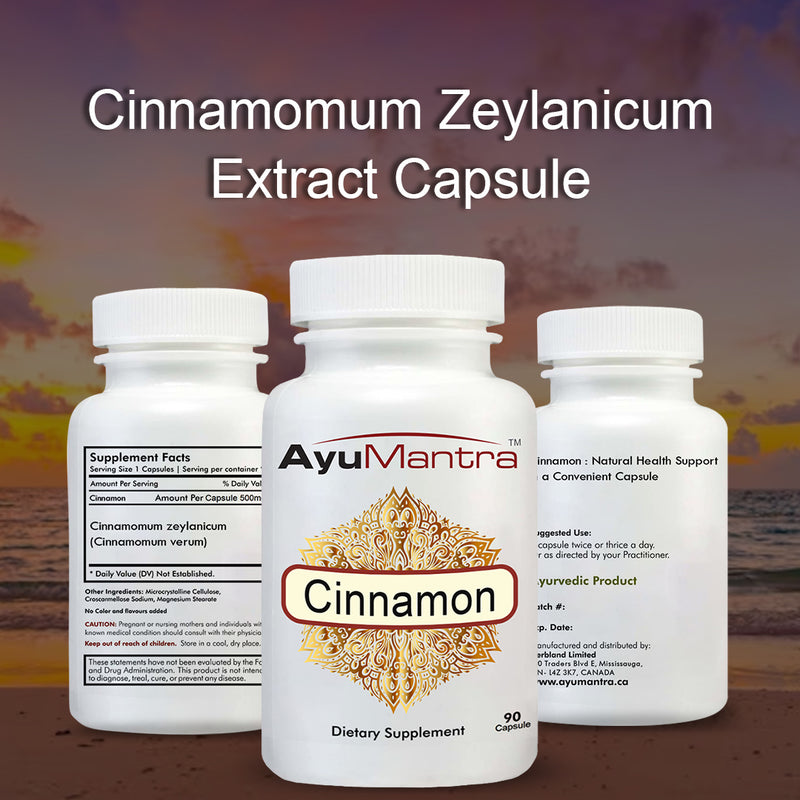 Cinnamon Capsules (Cinnamomum zeylanicum)