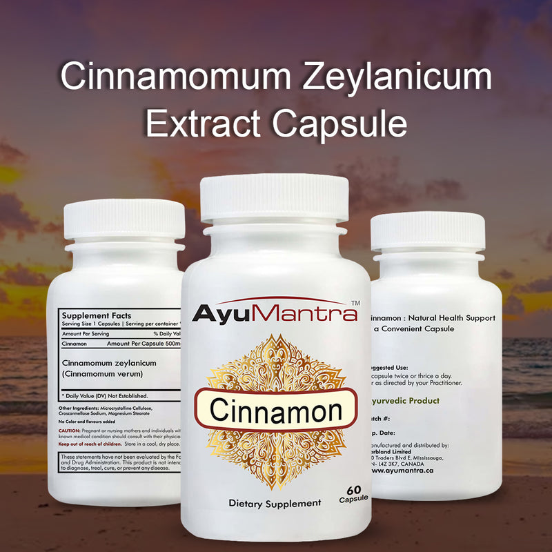 Gélules de cannelle (Cinnamomum zeylanicum)