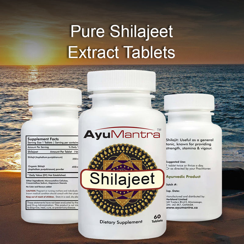Shilajeet Tablets (Asphaltum)